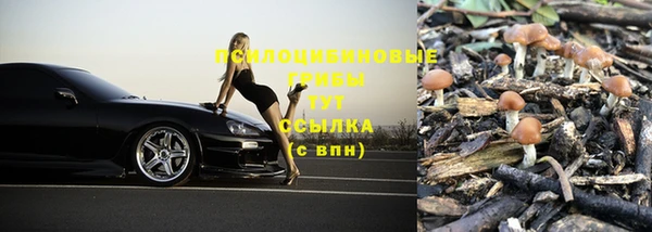 кокс Дмитров