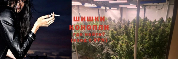 прущая мука Гусев