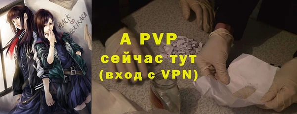 прущая мука Гусев