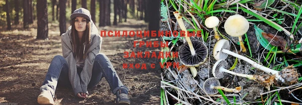 бутират Дмитриев
