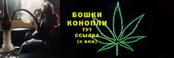 кокс Дмитров